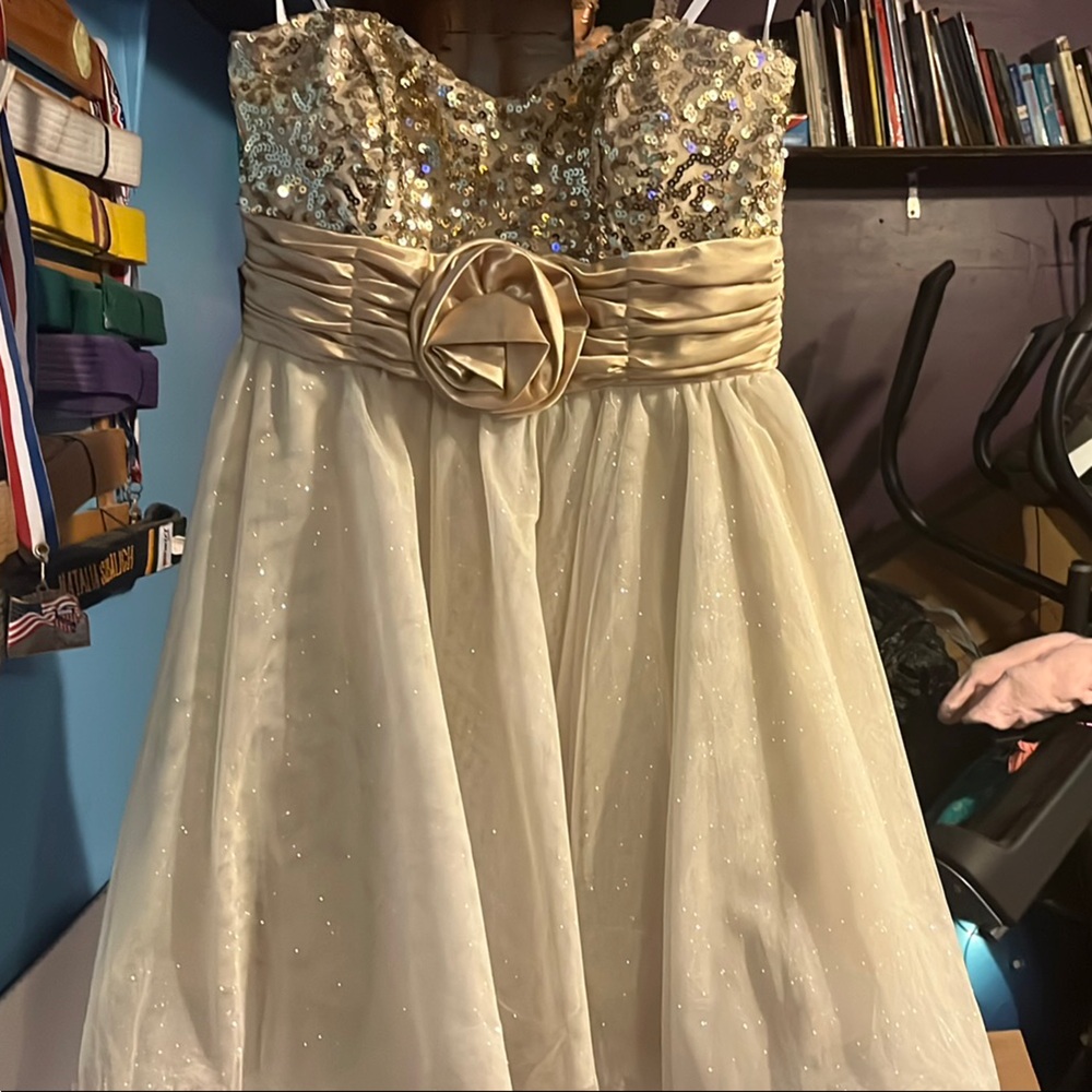 Elegant Sequin and Satin Dress